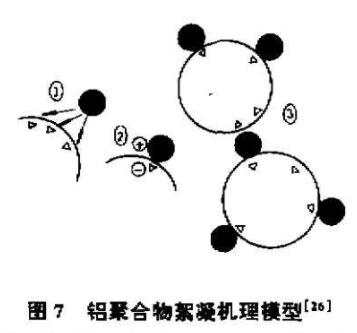 聚合铝与颗粒物(wù)的相互作用(yòng)