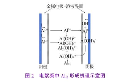 图2电絮凝中Al13形成机理示意图